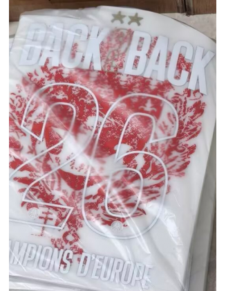 Camiseta de campeón del PSG 25/26 versión jugador 